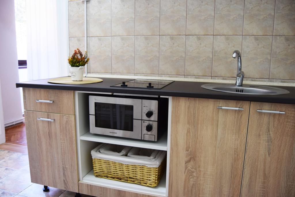 Contessa Apartment Cluj Napoca Extérieur photo
