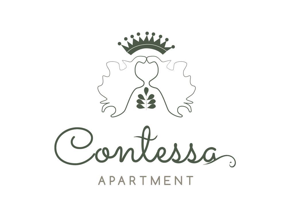 Contessa Apartment Cluj Napoca Extérieur photo